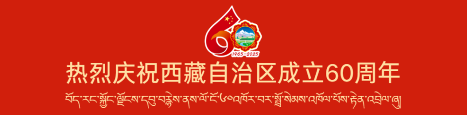 路自行车极, 舞台上